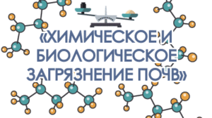 Всероссийская научная конференция «Химическое и биологическое загрязнение почв»