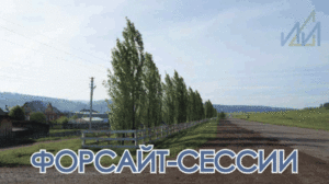 Северо-восточные районы Башкирии могут ориентироваться на единый агробренд: итоги форсайт-сессии