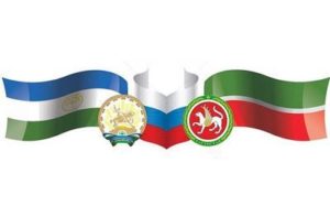 Ученые ИСИ РБ представили методики разработки стратегии развития муниципалитетов коллегам из Татарстана