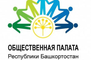 НКО Башкортостана выработали предложения по семи направлениям развития