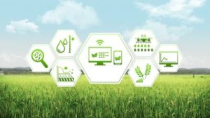 Ученые ИСИ РБ: «Будущее — за цифровой аграрной экономикой и кооперацией. Надо определить выигрышные для региона секторы»